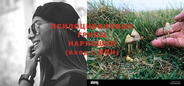 каннабис Вяземский