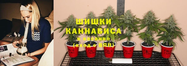 прущая мука Вязьма