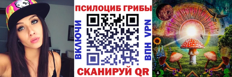 KRAKEN tor  как найти закладки  Черноголовка  Галлюциногенные грибы Psilocybe 